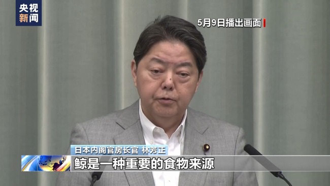 最新的一艘捕鲸船首行，商业捕鲸路日本一意孤行-图2
