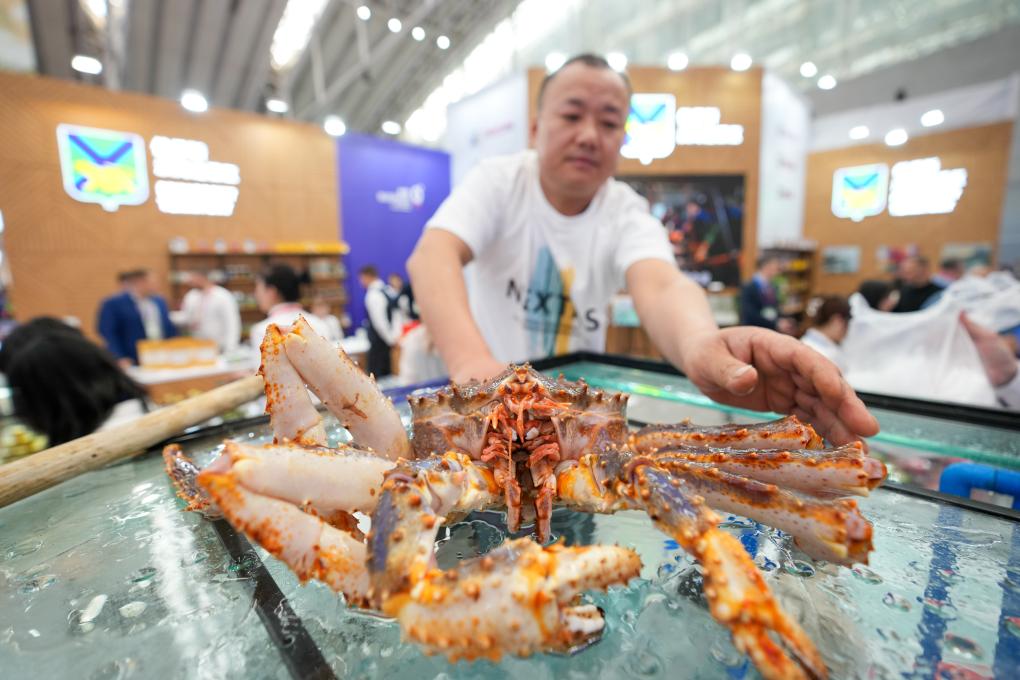 通讯｜从深海到餐桌——俄罗斯帝王蟹让中国人大饱口福-图1
