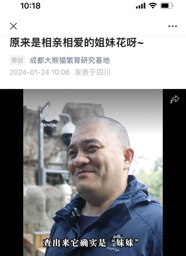 大熊猫和叶是女孩-图1 大熊猫和叶是女孩-图1