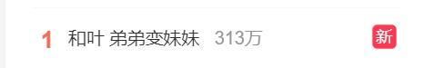 大熊猫和叶是女孩-图2 大熊猫和叶是女孩-图2