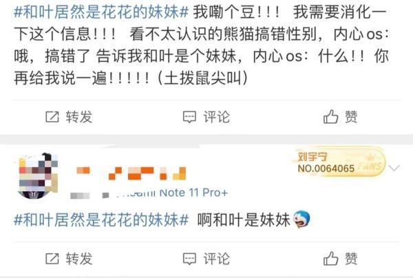 大熊猫和叶是女孩-图4 大熊猫和叶是女孩-图4