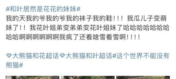 大熊猫和叶是女孩-图5 大熊猫和叶是女孩-图5