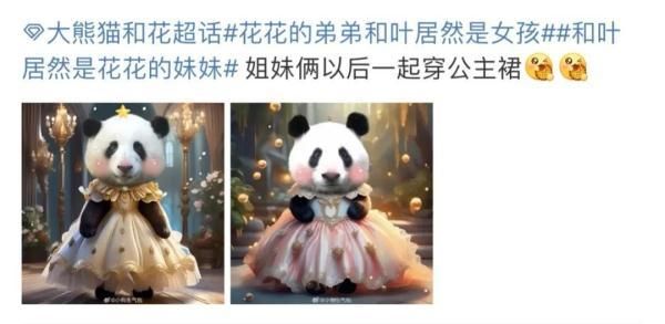 大熊猫和叶是女孩-图9 大熊猫和叶是女孩-图9