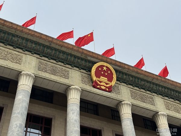 两会代表委员热议新能源汽车，完善标准体系、攻关创新技术-图1