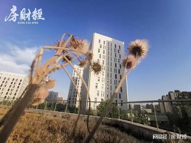 金辉控股2023年归母净亏5.81亿元，利润分配过山车-图1
