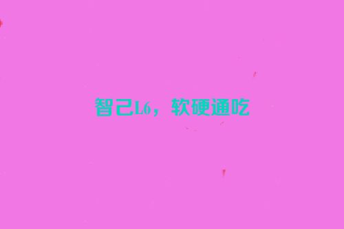 智己L6，软硬通吃