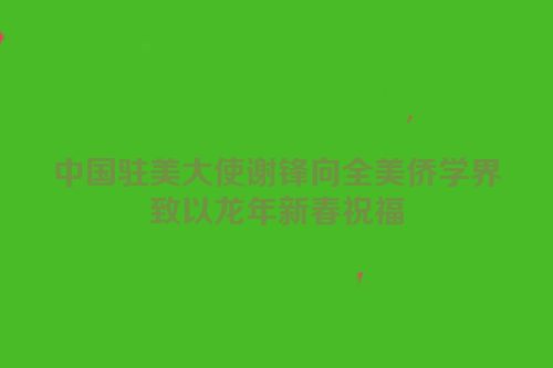 中国驻美大使谢锋向全美侨学界致以龙年新春祝福