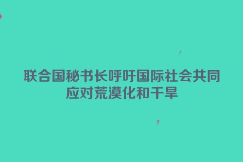 联合国秘书长呼吁国际社会共同应对荒漠化和干旱