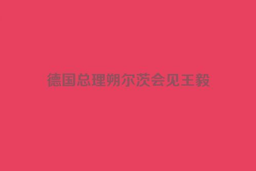 德国总理朔尔茨会见王毅