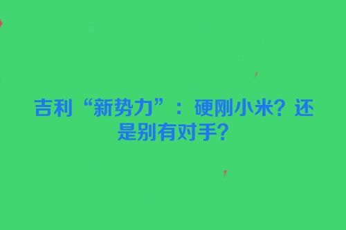 吉利“新势力”：硬刚小米？还是别有对手？