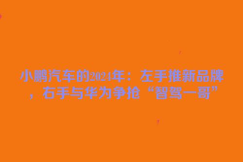 小鹏汽车的2024年：左手推新品牌，右手与华为争抢“智驾一哥”