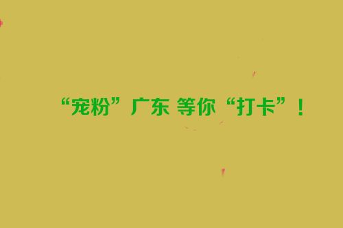 “宠粉”广东 等你“打卡”！