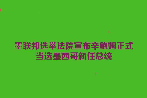 墨联邦选举法院宣布辛鲍姆正式当选墨西哥新任总统