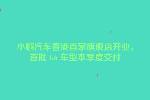 小鹏汽车香港首家旗舰店开业，首批 G6 车型本季度交付