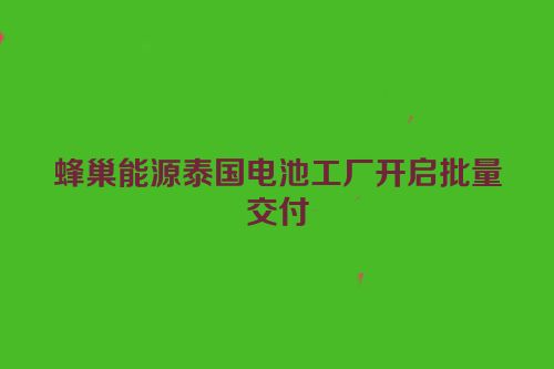 蜂巢能源泰国电池工厂开启批量交付