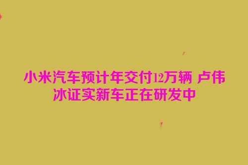 小米汽车预计年交付12万辆 卢伟冰证实新车正在研发中