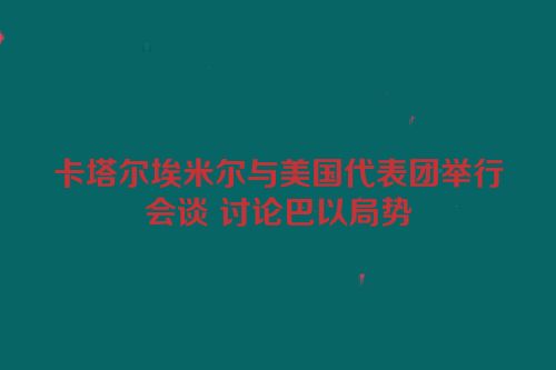 卡塔尔埃米尔与美国代表团举行会谈 讨论巴以局势