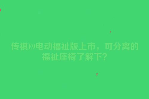 传祺E9电动福祉版上市，可分离的福祉座椅了解下？