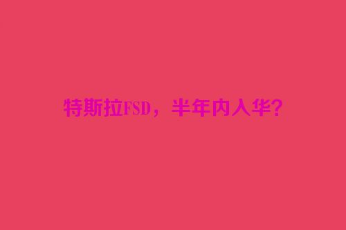 特斯拉FSD，半年内入华？
