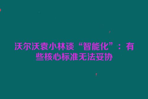 沃尔沃袁小林谈“智能化”：有些核心标准无法妥协
