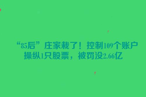 “85后”庄家栽了！控制109个账户操纵1只股票，被罚没2.66亿