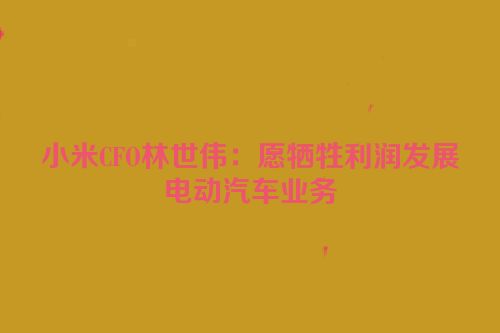 小米CFO林世伟：愿牺牲利润发展电动汽车业务