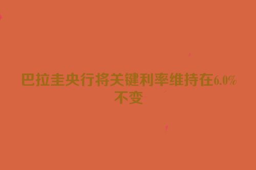 巴拉圭央行将关键利率维持在6.0%不变