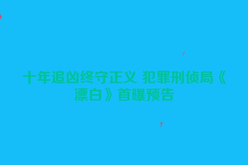 十年追凶终守正义 犯罪刑侦局《漂白》首曝预告