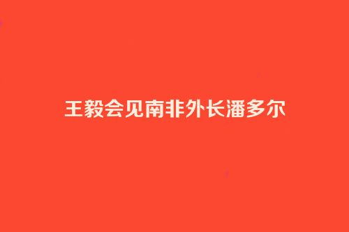 王毅会见南非外长潘多尔