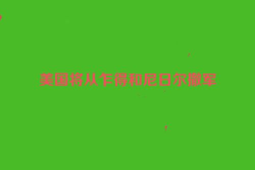 美国将从乍得和尼日尔撤军