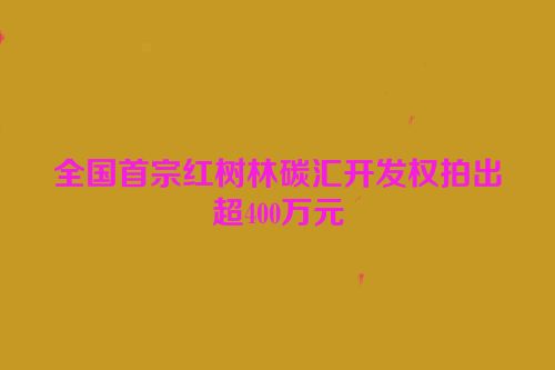 全国首宗红树林碳汇开发权拍出超400万元