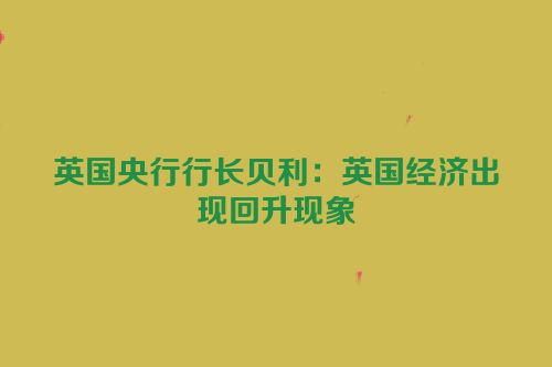 英国央行行长贝利：英国经济出现回升现象