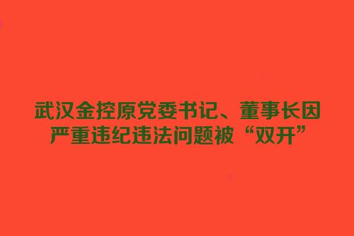 武汉金控原党委书记、董事长因严重违纪违法问题被“双开”