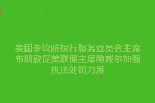 美国参议院银行服务委员会主席布朗敦促美联储主席鲍威尔加强执法处罚力度