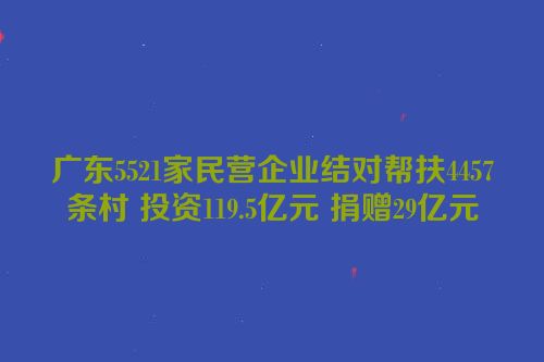 广东5521家民营企业结对帮扶4457条村 投资119.5亿元 捐赠29亿元