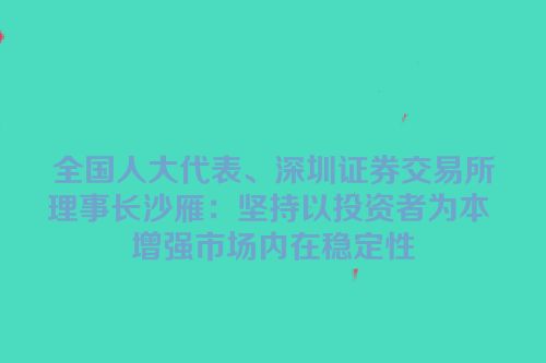 全国人大代表、深圳证券交易所理事长沙雁：坚持以投资者为本 增强市场内在稳定性