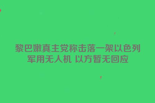 黎巴嫩真主党称击落一架以色列军用无人机 以方暂无回应