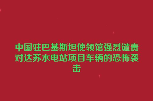 中国驻巴基斯坦使领馆强烈谴责对达苏水电站项目车辆的恐怖袭击