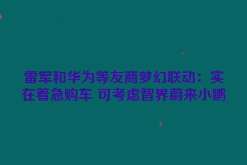 雷军和华为等友商梦幻联动：实在着急购车 可考虑智界蔚来小鹏