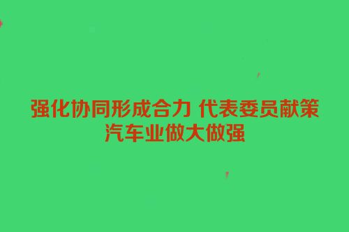 强化协同形成合力 代表委员献策汽车业做大做强