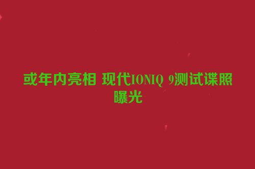 或年内亮相 现代IONIQ 9测试谍照曝光