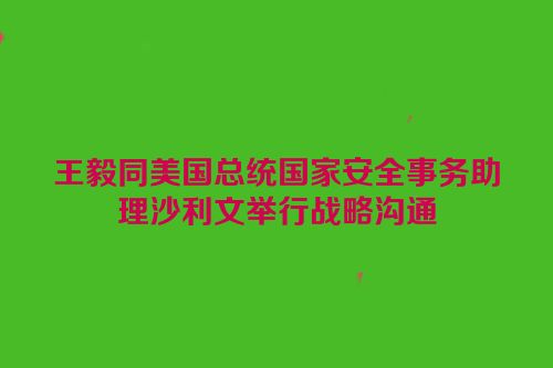王毅同美国总统国家安全事务助理沙利文举行战略沟通