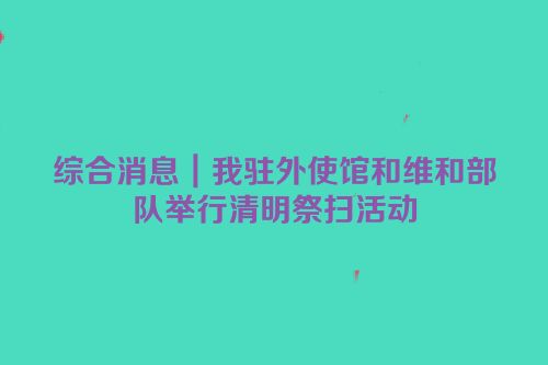 综合消息｜我驻外使馆和维和部队举行清明祭扫活动