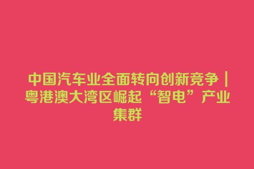 中国汽车业全面转向创新竞争｜粤港澳大湾区崛起“智电”产业集群