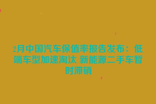 2月中国汽车保值率报告发布：低端车型加速淘汰 新能源二手车暂时滞销
