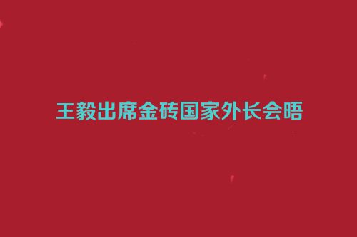王毅出席金砖国家外长会晤