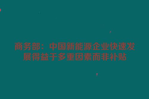 商务部：中国新能源企业快速发展得益于多重因素而非补贴