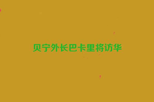 贝宁外长巴卡里将访华