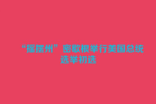 “摇摆州”密歇根举行美国总统选举初选