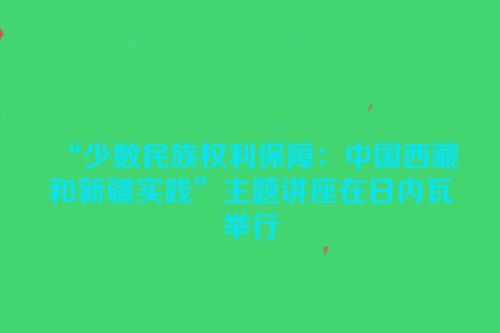 “少数民族权利保障：中国西藏和新疆实践”主题讲座在日内瓦举行